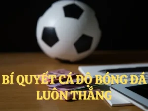 Thắp Lửa Đam Mê: Bí Mật Thành Công Cá Cược Bóng Đá Miso88