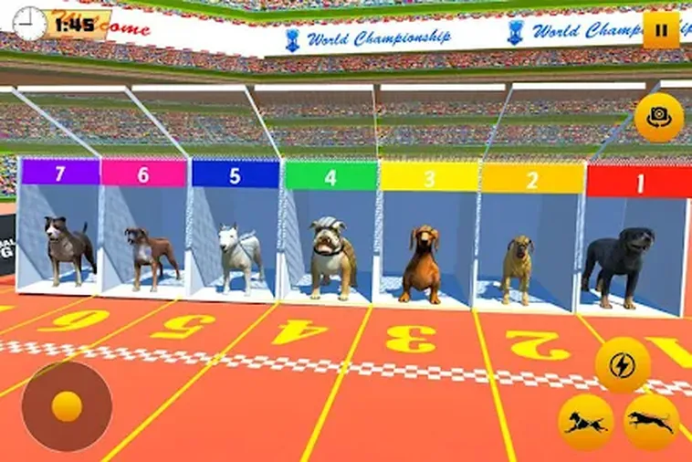Cách Chơi Game Nhanh Đua Chó Tại Miso88 Dễ Thắng Trong Vài Phút 2 Cách Chơi Game Nhanh Đua Chó Tại Miso88 Dễ Thắng Trong Vài Phút
